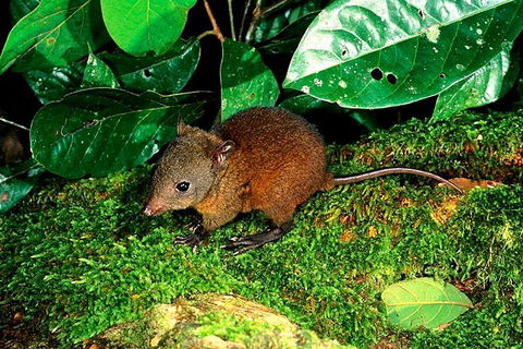 3-Day Small-Group Tour Of North Queensland With Pick Up - Book Restaurant 0
