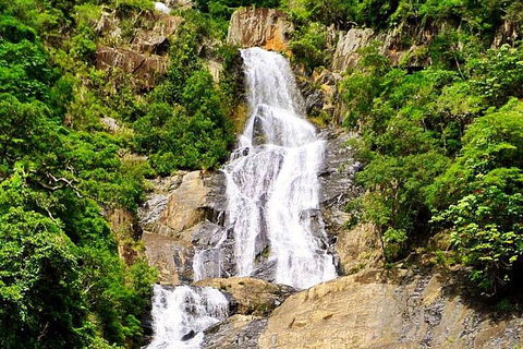 3-Day Small-Group Tour Of North Queensland With Pick Up - Book Restaurant 1