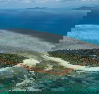 4-Day Cairns with Great Barrier Reef and Daintree Rainforest - Book Restaurant