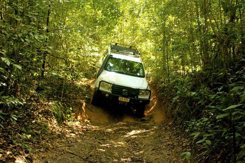 Cairns National Park Rainforest And Waterfall Small Group Tour Shore Excursion - Book Restaurant 0