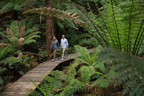 2 Day Exclusively Private Tour Of Phillip Island & The Great Ocean Road - Book Restaurant 5