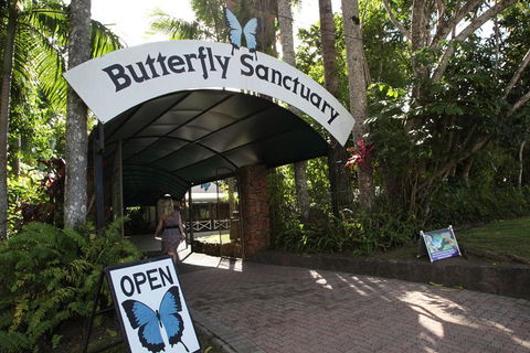 Kuranda Day Trip From Port Douglas Upgrade To Skyrail & Scenic Train Available - Book Restaurant 0