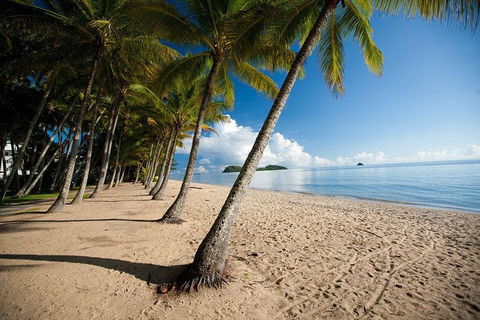 Kuranda Day Trip From Port Douglas Upgrade To Skyrail & Scenic Train Available - Book Restaurant 1