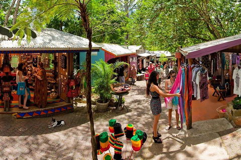 Kuranda Day Trip From Port Douglas Upgrade To Skyrail & Scenic Train Available - Book Restaurant 2
