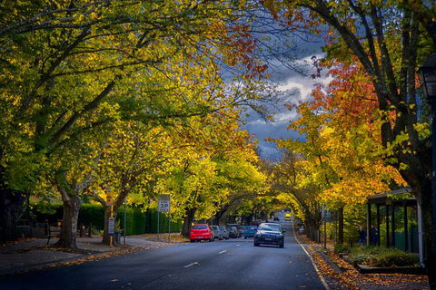 Small Group Adelaide Hills And Hahndorf Hideaway Tour From Adelaide - Book Restaurant 1