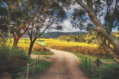McLaren Vale Winery Small Group Tour With Wine Tasting And Lunch - Book Restaurant 1