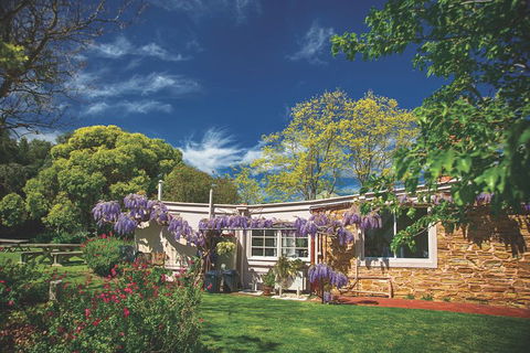 McLaren Vale Winery Small Group Tour With Wine Tasting And Lunch - Book Restaurant 2
