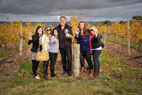McLaren Vale Winery Small Group Tour With Wine Tasting And Lunch - Book Restaurant 3