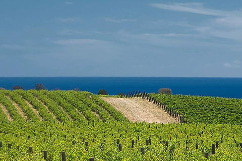 McLaren Vale Winery Small Group Tour With Wine Tasting And Lunch - Book Restaurant 4