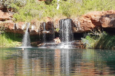 9 Day Perth To Broome Adventure - Book Restaurant 2