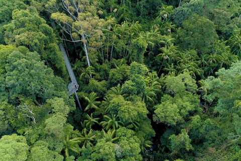 Natural Bridge, Skywalk And Mt Tamborine Adventure! - Book Restaurant 2
