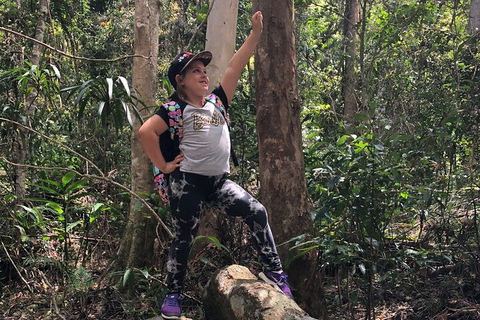 Natural Bridge, Skywalk And Mt Tamborine Adventure! - Book Restaurant 3