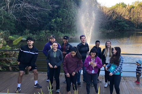 Natural Bridge, Skywalk And Mt Tamborine Adventure! - Book Restaurant 4