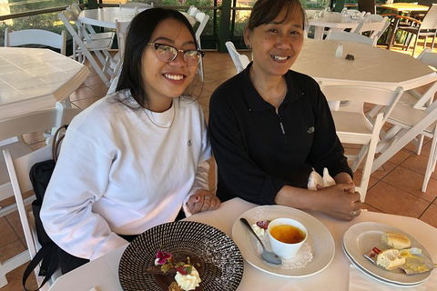 Natural Bridge, Skywalk And Mt Tamborine Adventure! - Book Restaurant 5