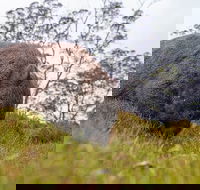 3-Day Cradle Mountain Photography Workshop - Book Restaurant