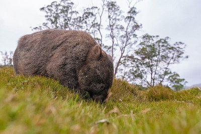 3-Day Cradle Mountain Photography Workshop