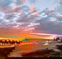 1 Hour Broome Sunset Camel Tour - Book Restaurant