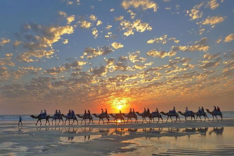 1 Hour Broome Sunset Camel Tour - Book Restaurant 1