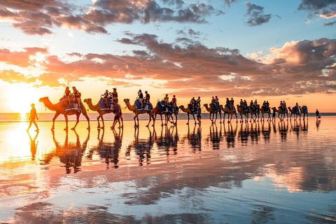 1 Hour Broome Sunset Camel Tour - Book Restaurant 2