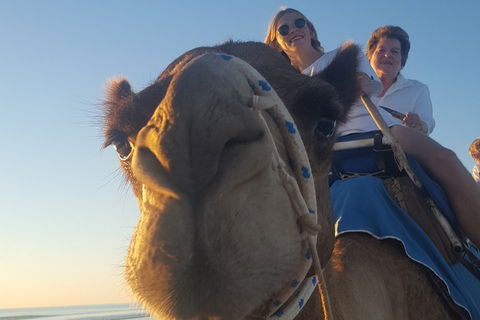 1 Hour Broome Sunset Camel Tour - Book Restaurant 4