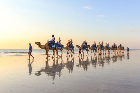 1 Hour Broome Sunset Camel Tour - Book Restaurant 5