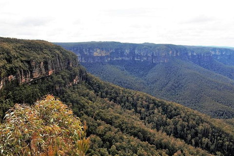 Blue Mountains - Book Restaurant 3