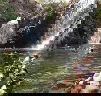 Litchfield National Park and Jumping Crocodile Cruise - Book Restaurant