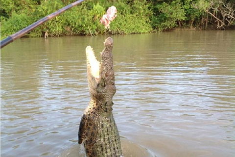 Litchfield National Park And Jumping Crocodile Cruise - Book Restaurant 2
