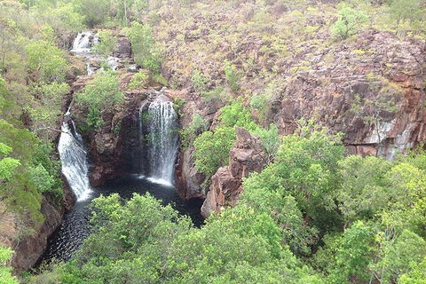Litchfield National Park And Jumping Crocodile Cruise - Book Restaurant 4