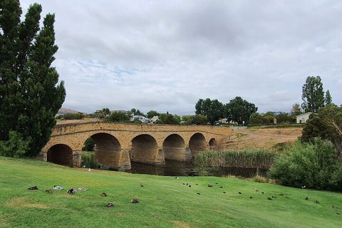 Port Arthur, Richmond And Tasman Peninsula Day Trip From Hobart - Book Restaurant 3