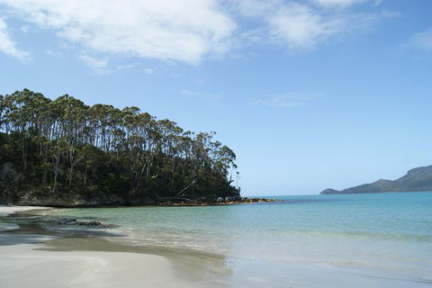 Bruny Island Day Trip From Hobart - Book Restaurant 1