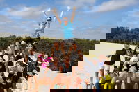 7-Day Best of Tasmania Adventure Experience from Hobart flexible ticket