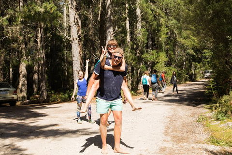 7-Day Best Of Tasmania Adventure Experience From Hobart (flexible Ticket) - Book Restaurant 5