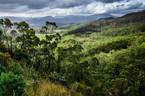 5-Day Lap Of Tasmania Tour From Hobart (flexible Ticket) - Book Restaurant 2