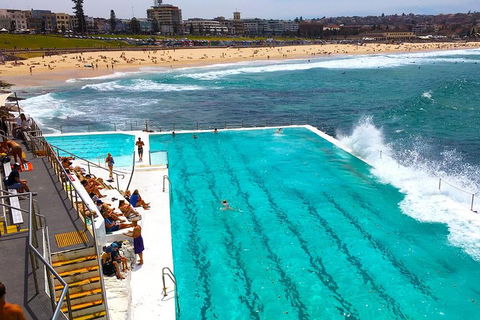 Private Sydney Half Day Tour Including Sydney Opera House And Bondi Beach - Book Restaurant 1