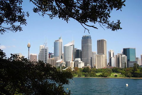 Private Sydney Half Day Tour Including Sydney Opera House And Bondi Beach - Book Restaurant 5