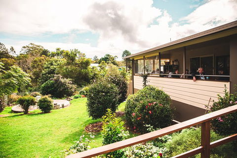 Full-day Springbrook National Park Tour From The Gold Coast - Book Restaurant 2