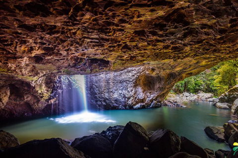 Full-day Springbrook National Park Tour From The Gold Coast - Book Restaurant 3