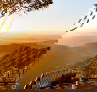 O'Reilly's  Lamington National Park incl. Alpaca Farm  Vineyard - Book Restaurant