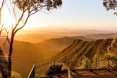 O'Reilly's & Lamington National Park Incl. Alpaca Farm + Vineyard - Book Restaurant 0