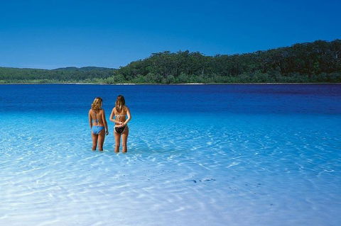 Fraser Island 4WD Tour From Noosa - Book Restaurant 2