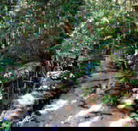 Fraser Island 4WD Tour from Rainbow Beach - Book Restaurant