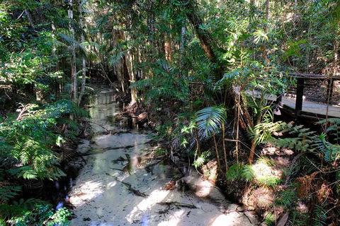 Fraser Island 4WD Tour From Rainbow Beach - Book Restaurant 0