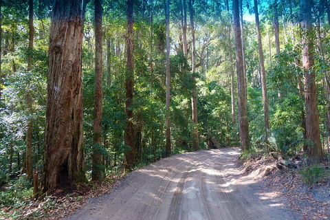 Fraser Island 4WD Tour From Rainbow Beach - Book Restaurant 4