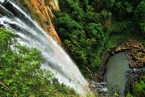 Rainforest & Waterfalls Extravaganza - Book Restaurant 1