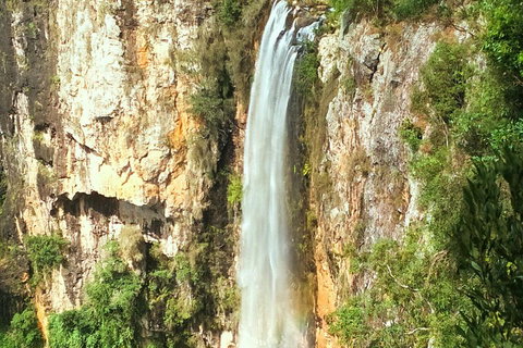 Rainforest & Waterfalls Extravaganza - Book Restaurant 3