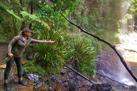 Rainforest & Waterfalls Extravaganza - Book Restaurant 4