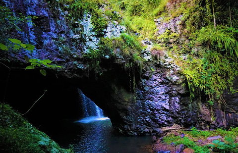 Rainforest & Waterfalls Extravaganza - Book Restaurant 5