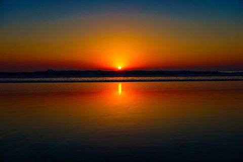 Glow Worms Private Tour - Nocturnal Rainforest Walk - Book Restaurant 3