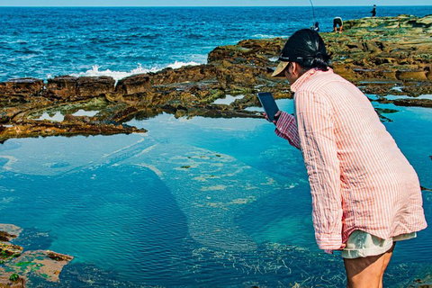 Sydney Private Tour Featuring Wilderness, Wildlife, Waves, Waterfalls And Wine - Book Restaurant 1